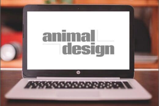 Animal Design